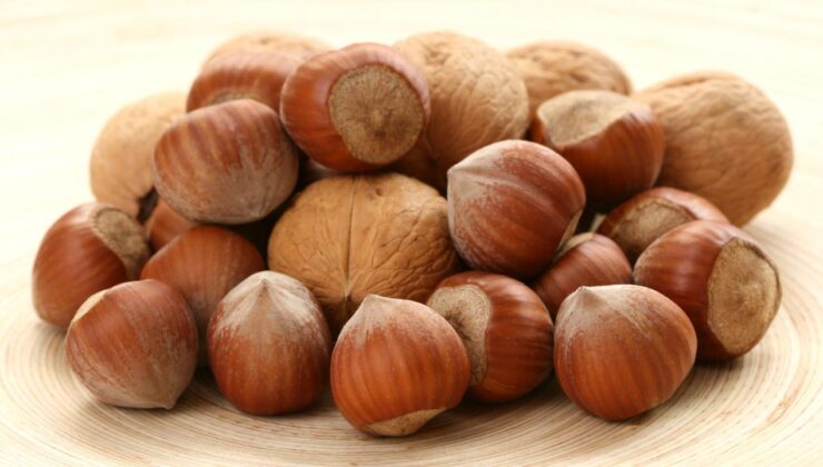 Düzce Fındık Fiyatları 27 Aralık’ta Direncini Sürdürüyor