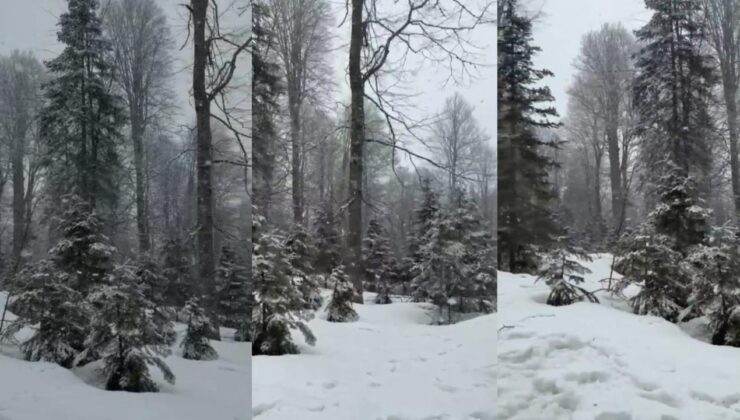 Düzce’de Yüksek Kesimlerde Kar Yağışı Etkili Oluyor