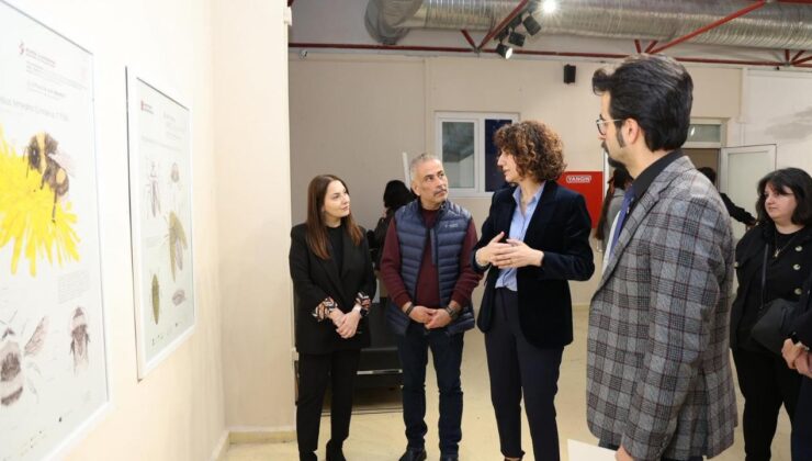 Bilim Kafe’de Böceklerin Dünyası Bilim ve Sanatla Anlatıldı