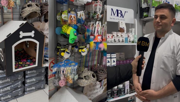 Veteriner Hekim Serkan Ayas’dan 4 Nisan’da Kritik Uyarı: “Sokak Hayvanları İçin Kalıcı Çözüm Şart”