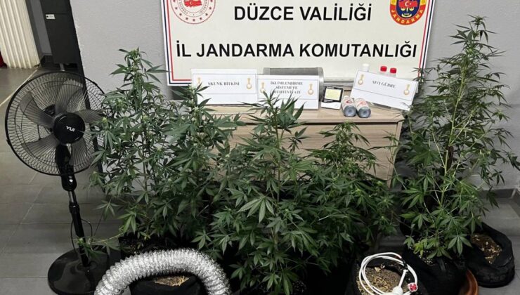 Evine Özel Sistem Kurup Kenevir Yetiştirdi, Jandarmadan Kaçamadı
