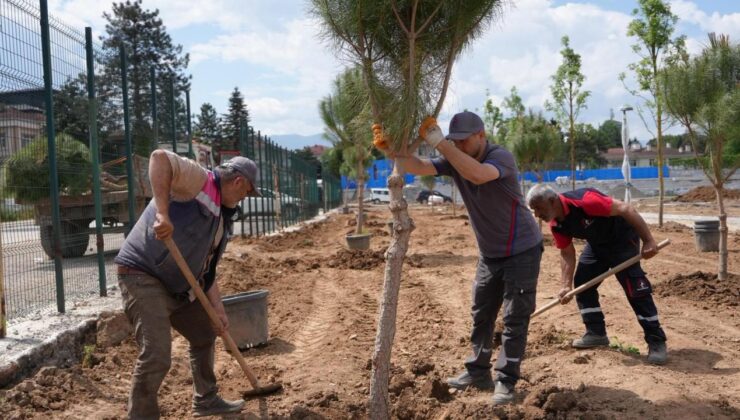 Düzce’nin Yeni Nefes Alanı Yükseliyor: Millet Bahçesi-2’de Çalışmalar Sürüyor