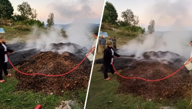 Akçakoca’da Fındıklıkta Yangın; İtfaiye Ekipleri Müdahale Etti
